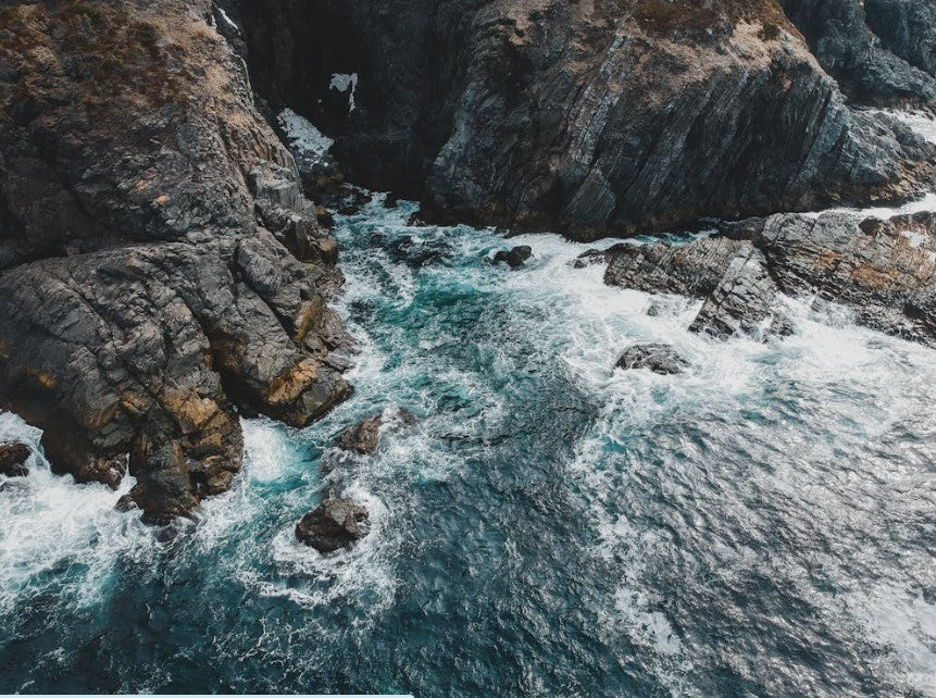 Wandering with Intent: Newfoundland 2025