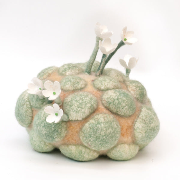 March 7-9 Saar Snoek, Nature-Nurture, Exploratory Textural Sculptures