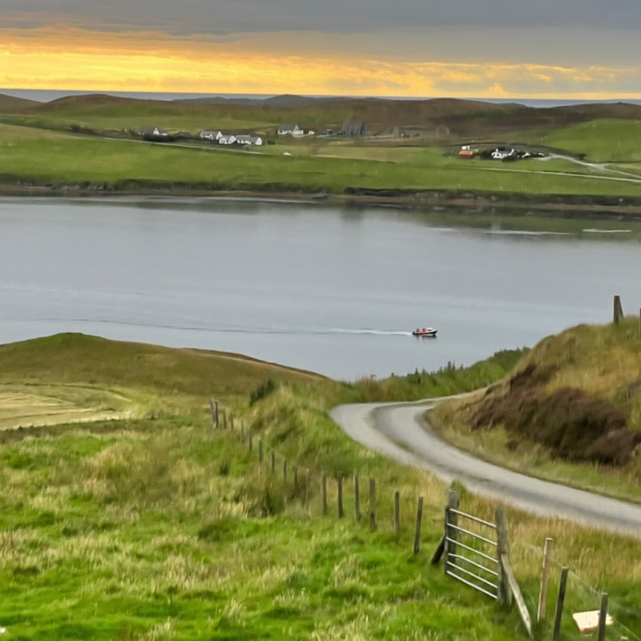 2028 Pre-Registration: Shetland Felting Tour Retreat