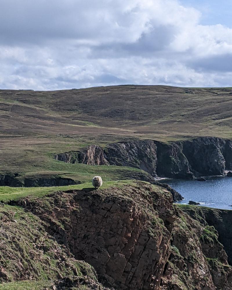 2028 Pre-Registration: Shetland Mentorship Retreat